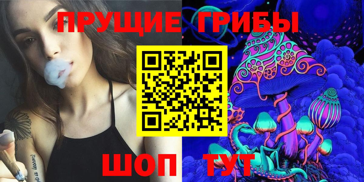 Псилоцибиновые грибы мицелий Рубцовск