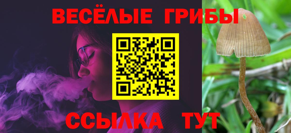 Галлюциногенные грибы MAGIC MUSHROOMS  Галлюциногенные грибы ЛСД  Рубцовск  купить наркотик  Вход с VPN 
